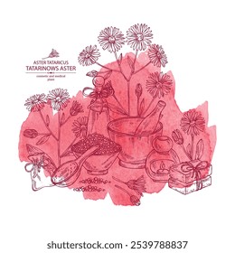 Watercolor background with aster tataricus: aster tataricus plant, leaves aster tataricus flowers. Tatarinow's aster. Oil, soap and bath salt . Cosmetics and medical plant. Vector hand drawn
