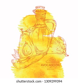 Watercolor background with avocado and bottle of avocado oil. Vector hand drawn illustration 