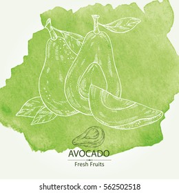 Watercolor background with avocado and avocado slice. hand drawn