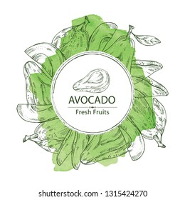 Watercolor background with avocado and avocado slice. Vector hand drawn illustration