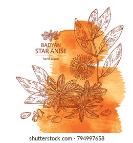 Watercolor background with badyan, star anise: fruit, flower, star anise seeds and leaves. Vector hand drawn illustration.