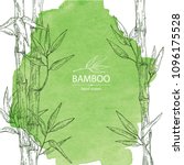 Watercolor background with bamboo: bamboo stalk and leaves. Vector hand drawn illustration.