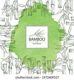 Watercolor background with bamboo: bamboo stalk and leaves. Vector hand drawn illustration.