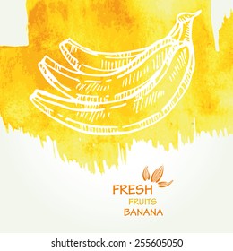 Watercolor background with banana in vector. 