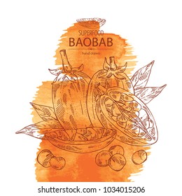 Watercolor background with baobab: baobab fruit, seeds and leaves. Super food. Vector hand drawn illustration