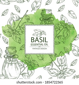 Fondo acuático con hoja de albahaca y botella de aceite esencial de albahaca. Cosmética, perfumería y planta médica. Ilustración dibujada a mano por vectores.