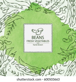 Watercolor background with beans . hand drawn