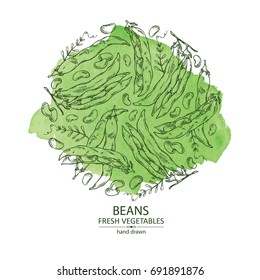 Fondo de acuarela con frijoles . Vector dibujado a mano ilustración