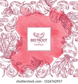 Watercolor background with beet: full beetroot and piece of beet. Vector hand drawn illustration