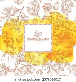 Watercolor background with bellirica: terminalia bellirica plant, leaves, fruit and bottle of terminalia bellirica oil. Bibhitaki fruit. Vector hand drawn illustration.