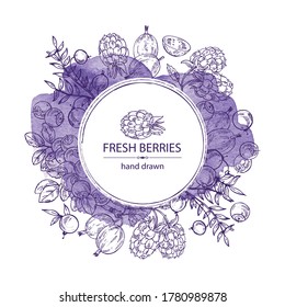 Watercolor background with berries: bilberry, cranberry, blackberry and gooseberry. Vector hand drawn illustration.