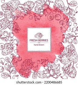 Watercolor background with berries: lingonberries, blackberry, black currant and strawberries. Vector hand drawn illustration.