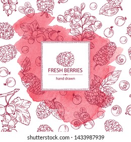 Watercolor background with berries: raspberry, mulberry, lingonberries and black currant. Vector hand drawn illustration