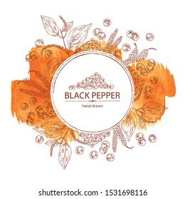 Watercolor background with black pepper: plant, pepper and leaves. Vector hand drawn illustration. 