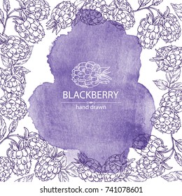 Watercolor background with blackberry: a branch, berries, leaves. Vector hand drawn illustration.