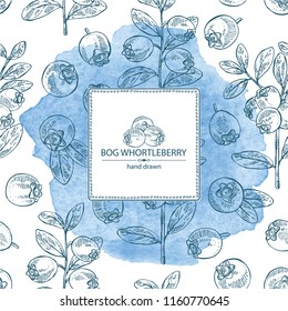 Watercolor background with bog whortleberry: branch of bog whortleberry and leaves. Vector hand drawn illustration