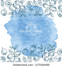 Watercolor background with bog whortleberry: branch of bog whortleberry and leaves. Vector hand drawn illustration