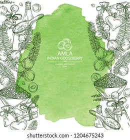 Watercolor background with branch of indian gooseberry, amla: berries and leaves of amla, oil, soap and bath salt . Cosmetic and medical plant. Vector hand drawn illustration. 