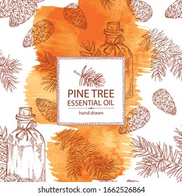 Watercolor background with branch of pine tree, cone and bottle of pine tree essential oil. Cosmetic, perfumery and medical plant. Vector hand drawn illustration.
