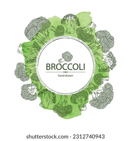 Watercolor background with broccoli: full broccoli, piece and broccoli inflorescence. Vector hand drawn illustration.