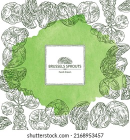 Watercolor background with brussels sprouts: head of cabbage, full brussels sprouts and brussels sprouts piece. Vector hand drawn illustration. 