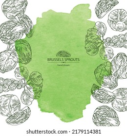 Watercolor background with brussels sprouts: head of cabbage, full brussels sprouts and brussels sprouts piece. Vector hand drawn illustration. 