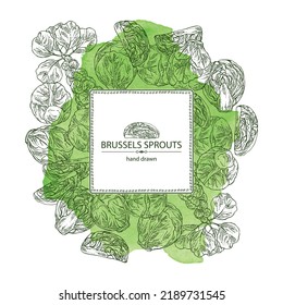 Watercolor background with brussels sprouts: head of cabbage, full brussels sprouts and brussels sprouts piece. Vector hand drawn illustration. 