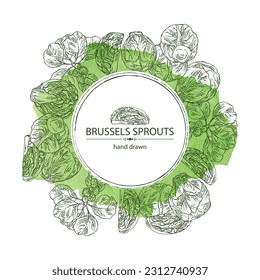 Watercolor background with brussels sprouts: head of cabbage, full brussels sprouts and brussels sprouts piece. Vector hand drawn illustration. 