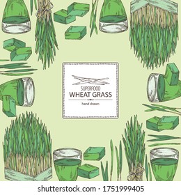 Watercolor background with bundle of wheat grass and cocktail of juice wheat grass. Superfood. Vector hand drawn illustration.
