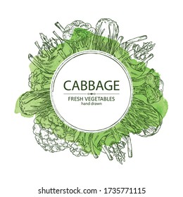 Watercolor background with cabbage: broccoli, chinese cabbage, kohlrabi and cauliflower. Vector hand drawn illustration.