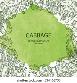 Watercolor Background with cabbage: broccoli, chinese cabbage, kohlrabi and cauliflower. hand drawn