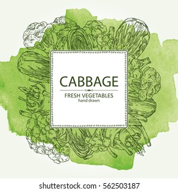Watercolor background with cabbage: broccoli, chinese cabbage, kohlrabi and cauliflower. hand drawn