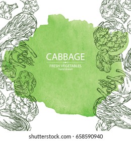 Watercolor background with cabbage: broccoli, chinese cabbage, kohlrabi and cauliflower. Vector hand drawn illustration.