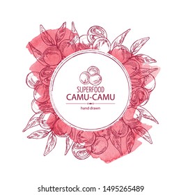 Watercolor background with camu camu: branch and camu camu fruit. Myciracy. Super food. Vector hand drawn illustration