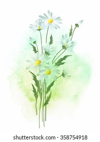 Watercolor background and chamomile flower. Vector illustration EPS10