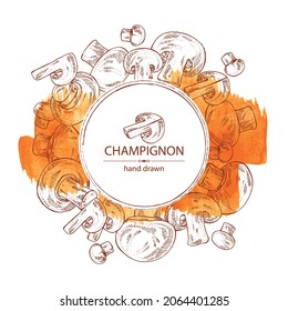 Watercolor background with champignon: mushroom agaricus and a bit of champignon. Mushroom. Vector hand drawn illustration