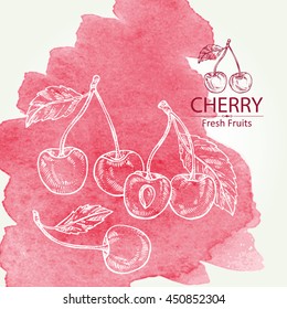 Watercolor background with cherry . hand drawn