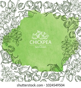 Watercolor background with chickpea: chickpea bean, pod, chickpea plant and leaves Vector hand drawn illustration