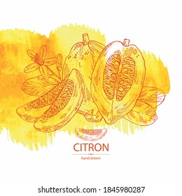 Watercolor background with citron: fruts, citron flower, leaves and zedrate slice. Citrus medica. Vector hand drawn illustration