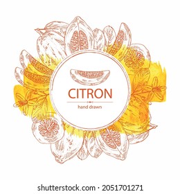 Watercolor background with citron: fruts, citron flower, leaves and zedrate slice. Citrus medica. Vector hand drawn illustration