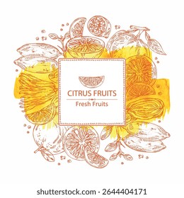 Fundo aquarela com citrinos fruitst: limão dedo, toranja, yuzu e cítron com dedos. Ilustração desenhada à mão vetorial.