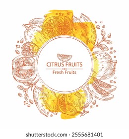 Watercolor background with  of citrus fruitst: yuzu, citron, grapefruit and bitter orange. Vector hand drawn illustration.