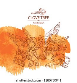 Watercolor background with clove tree: buds and leaves. Vector hand drawn illustration.