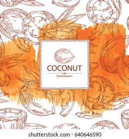 Watercolor background with coconut. hand drawn.