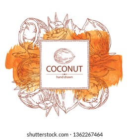 Watercolor background with coconut. Vector hand drawn illustration. 
