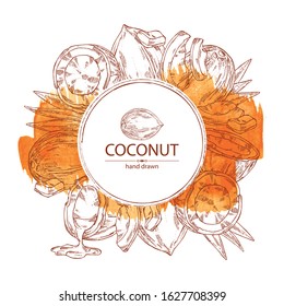 Watercolor background with coconut. Vector hand drawn illustration. 