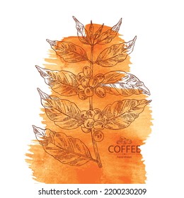 Watercolor Background With Coffee: Coffee Plant, Leaves And Coffee Fruit. Vector Hand Drawn Illustration.