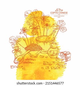 Watercolor background with coptis chinese: plant, leaves, root and coptis chinese flowers. Oil, soap and bath salt . Cosmetics and medical plant. Vector hand drawn illustration