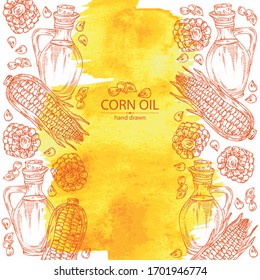 Watercolor background with corn and corn oil . Vector hand drawn illustration.