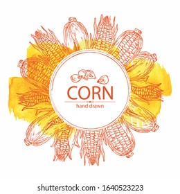 Watercolor background with corn. Vector hand drawn illustration.